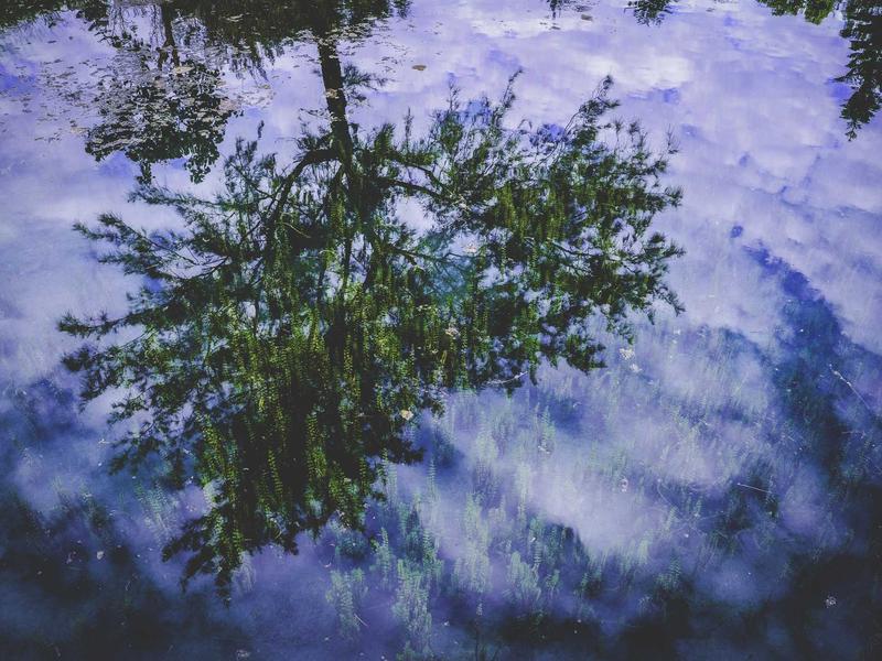 Sofía Castillo Santiago de los Caballeros